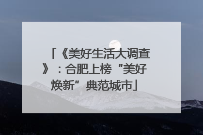 《美好生活大调查》：合肥上榜“美好焕新”典范城市