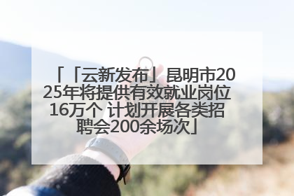 「云新发布」昆明市2025年将提供有效就业岗位16万个 计划开展各类招聘会200余场次