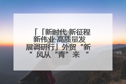 「新时代 新征程 新伟业·高质量发展调研行」外贸“新”风从“青”来 “双向奔赴”启新程