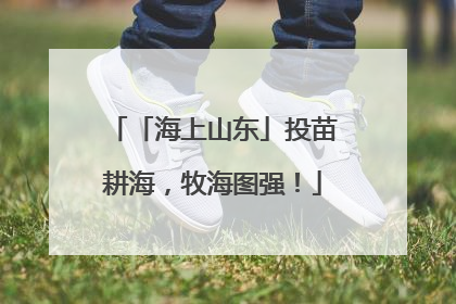 「海上山东」投苗耕海，牧海图强！