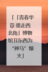 「青春华章·重走西北角」博物馆丑东西为“神马”爆火