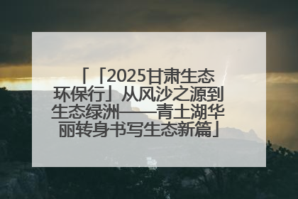 「2025甘肃生态环保行」从风沙之源到生态绿洲——青土湖华丽转身书写生态新篇