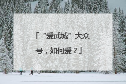 “爱武城”大众号，如何爱？