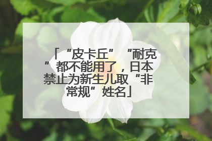 “皮卡丘”“耐克”都不能用了，日本禁止为新生儿取“非常规”姓名