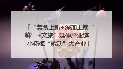 “美食上新+深加工锁‘鲜’+文旅”延伸产业链 小杨梅“撬动”大产业