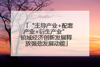“主导产业+配套产业+衍生产业” 镇域经济创新发展释放强劲发展动能