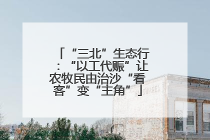 “三北”生态行：“以工代赈”让农牧民由治沙“看客”变“主角”
