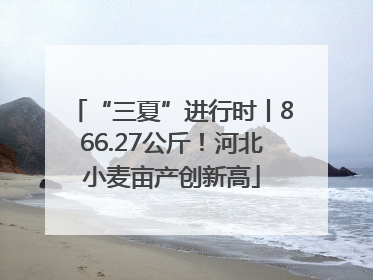 “三夏”进行时丨866.27公斤！河北小麦亩产创新高