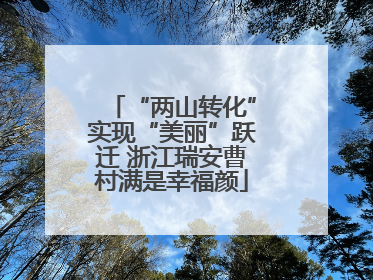 “两山转化”实现“美丽”跃迁 浙江瑞安曹村满是幸福颜