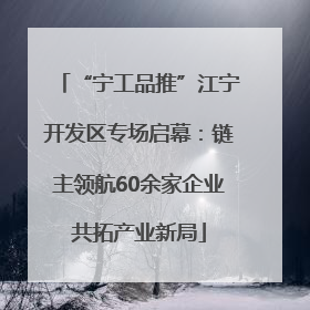 “宁工品推”江宁开发区专场启幕：链主领航60余家企业共拓产业新局