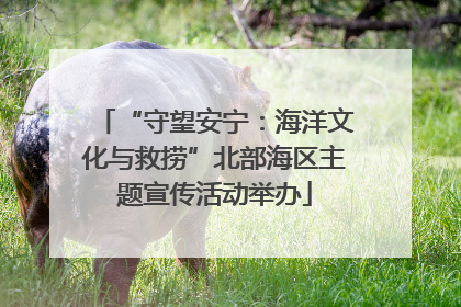 “守望安宁：海洋文化与救捞”北部海区主题宣传活动举办