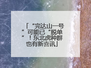 “完达山一号”可能已“脱单”！东北虎种群也有新喜讯