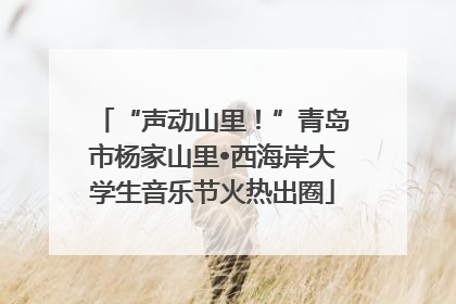 “声动山里!”青岛市杨家山里•西海岸大学生音乐节火热出圈