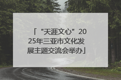 “天涯文心”2025年三亚市文化发展主题交流会举办