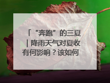 “奔跑”的三夏｜降雨天气对夏收有何影响？该如何防范？一文了解