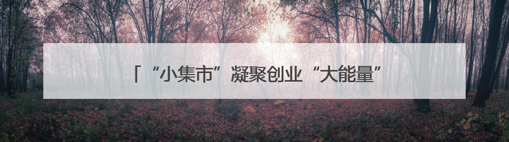 “小集市”凝聚创业“大能量” 王台青年创意美食集市点燃青岛西海岸新区北部新城夜经济