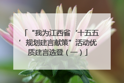 “我为江西省‘十五五’规划建言献策”活动优质建言选登（一）
