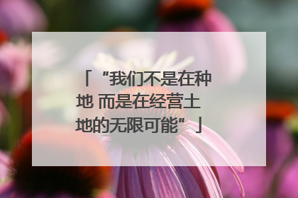 “我们不是在种地 而是在经营土地的无限可能”