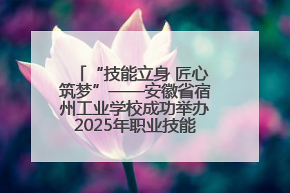 “技能立身 匠心筑梦”——安徽省宿州工业学校成功举办2025年职业技能活动周各项活动