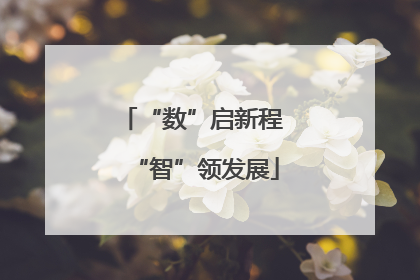“数”启新程 “智”领发展