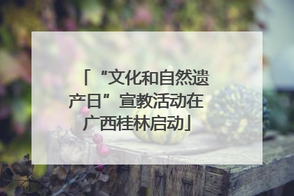 “文化和自然遗产日”宣教活动在广西桂林启动