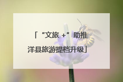 “文旅 +”助推洋县旅游提档升级