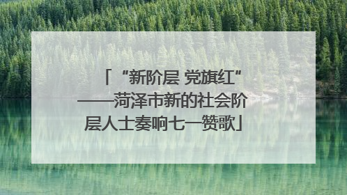 “新阶层 党旗红”——菏泽市新的社会阶层人士奏响七一赞歌