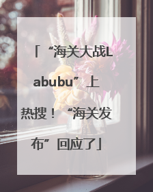 “海关大战Labubu”上热搜！“海关发布”回应了