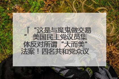 “这是与魔鬼做交易” 美国民主党议员集体反对所谓“大而美”法案！四名共和党众议员投反对票