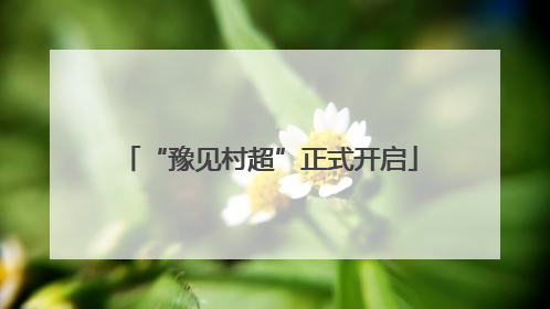 “豫见村超”正式开启