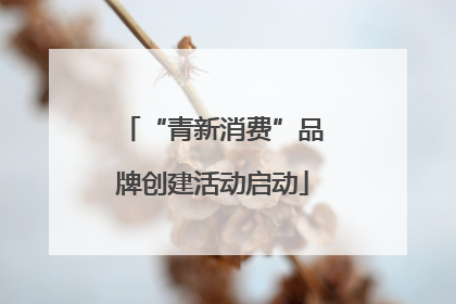 “青新消费”品牌创建活动启动