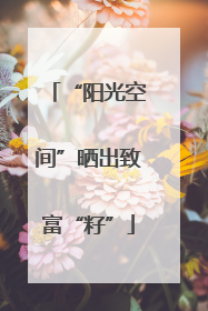“阳光空间”晒出致富“籽”