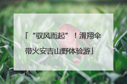“驭风而起”！滑翔伞带火安吉山野体验游