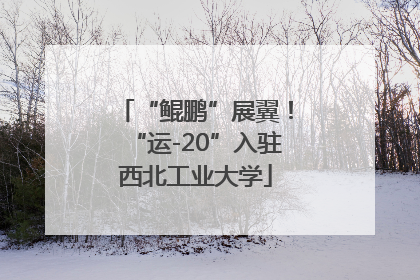 “鲲鹏”展翼！“运-20”入驻西北工业大学