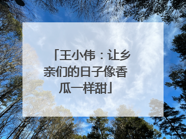 王小伟：让乡亲们的日子像香瓜一样甜