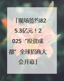 现场签约825.3亿元！2025“投资成都”全球招商大会开幕