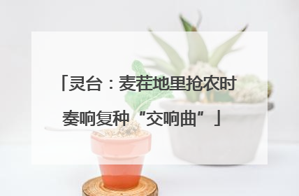 灵台：麦茬地里抢农时 奏响复种“交响曲”