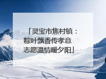 灵宝市焦村镇：粽叶飘香传孝意 志愿温情暖夕阳