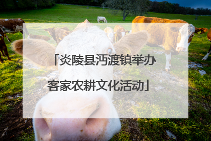 炎陵县沔渡镇举办客家农耕文化活动