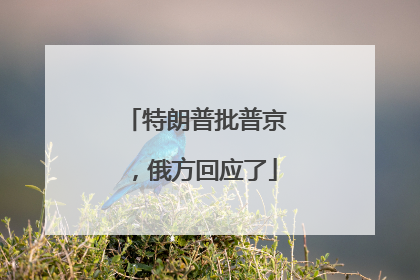 特朗普批普京，俄方回应了