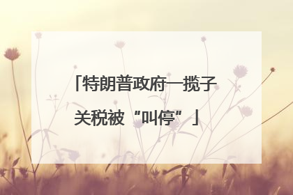 特朗普政府一揽子关税被“叫停”