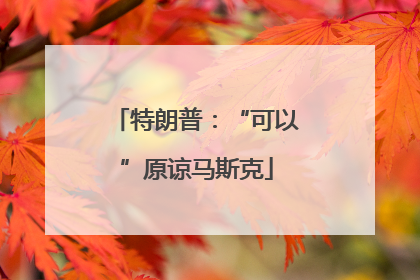特朗普：“可以”原谅马斯克
