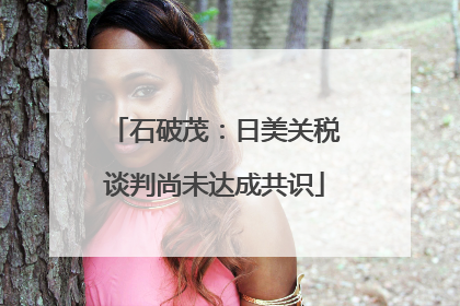 石破茂：日美关税谈判尚未达成共识
