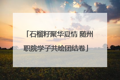 石榴籽聚华夏情 随州职院学子共绘团结卷