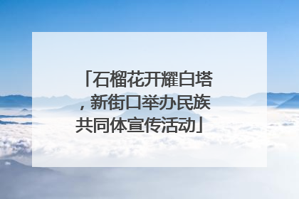 石榴花开耀白塔，新街口举办民族共同体宣传活动