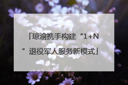 琼渝携手构建“1+N”退役军人服务新模式