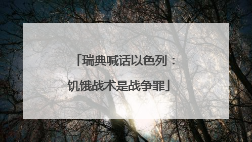 瑞典喊话以色列：饥饿战术是战争罪