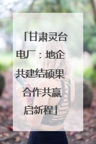 甘肃灵台电厂：地企共建结硕果 合作共赢启新程