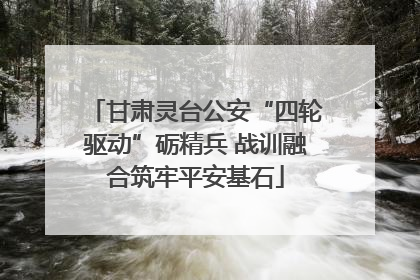 甘肃灵台公安“四轮驱动”砺精兵 战训融合筑牢平安基石