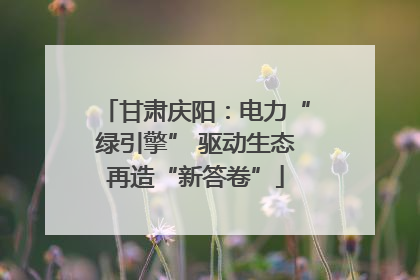 甘肃庆阳：电力“绿引擎” 驱动生态再造“新答卷”